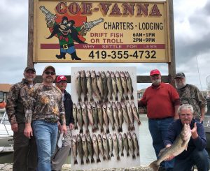 Fishing on Lake Erie catching limits of walleye 