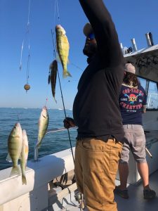 Lake Erie perch fishing near Port Clinton