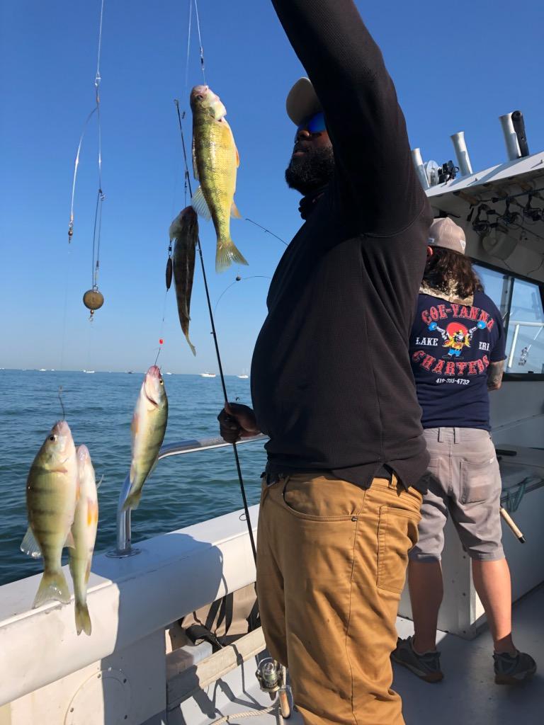 Perch Fishing :: Lake Erie Fishing