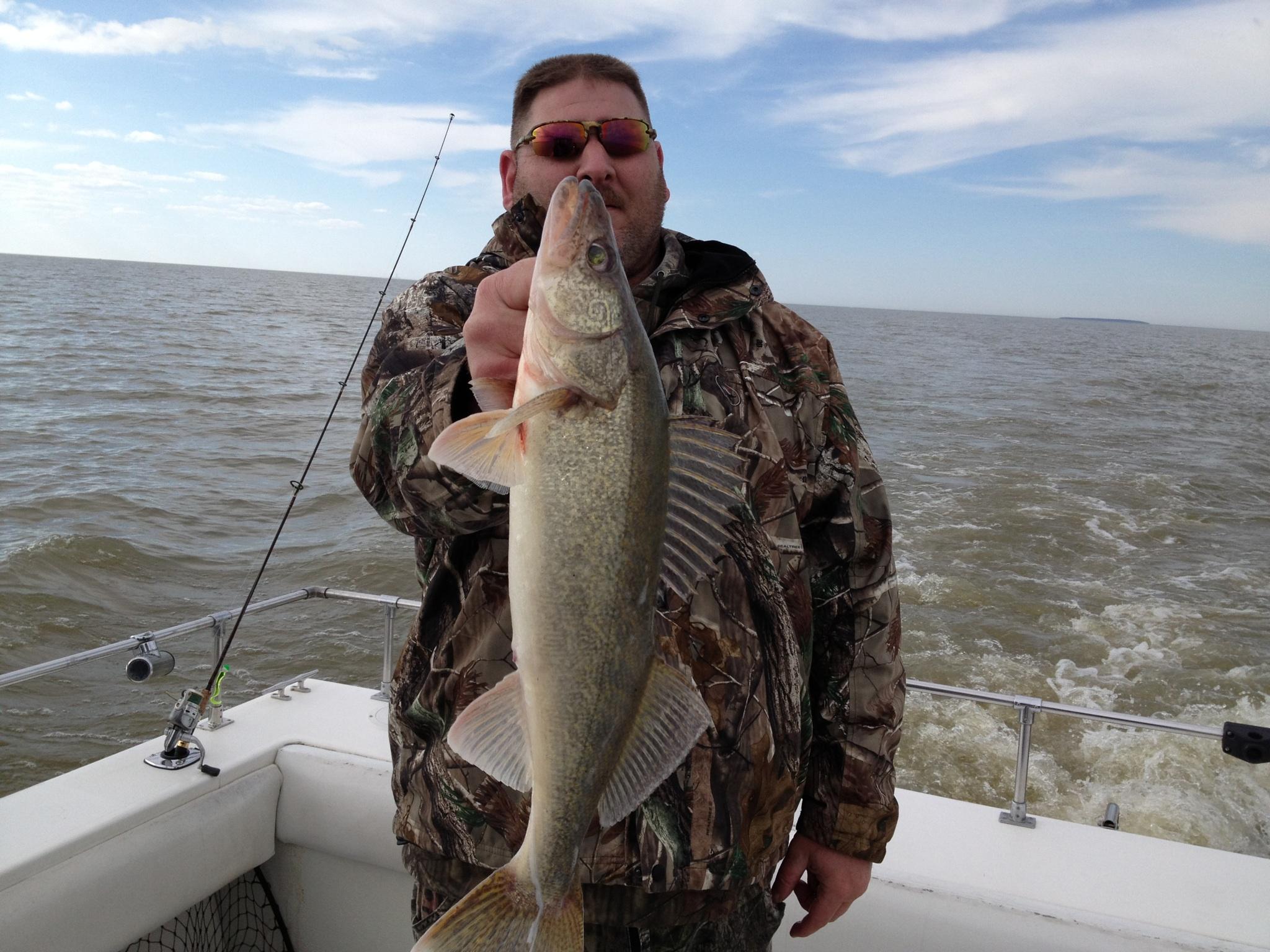 lake erie walleye fishing