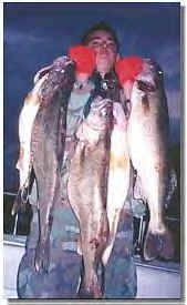 Lake Erie Walleye Fishing Charters