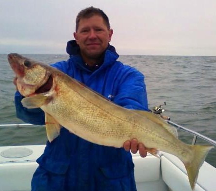 lake erie walleye fishing charters